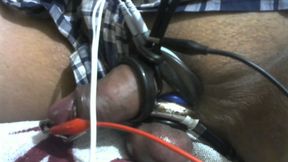 estim0315