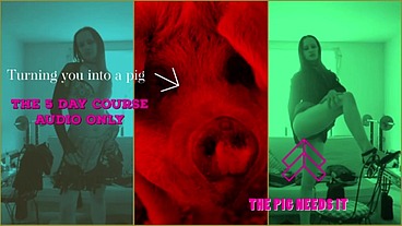 Learn how to be a pig the 5 day course