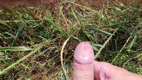 Jerking off in the field