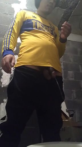 A Meada in the Toilet