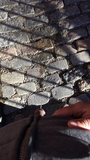 vlog #151 another pissing video with a passerby and a dog