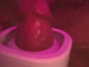 100% Thickdaddysnewtoy