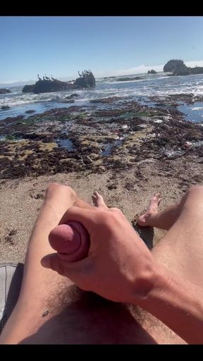 Beach Masturbation