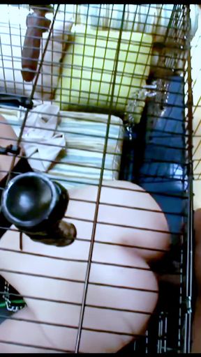 Mr Marcus: Kiara Marie Chubby Blonde Big Tits Fucked by Big Black Cock Mr Marcus in Cage Cumshot