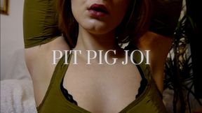 PIT PIG JOI