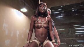 ”Black trainee rough banged by gimp”