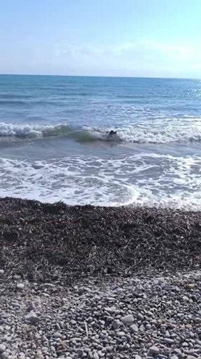 Ducha en la playa