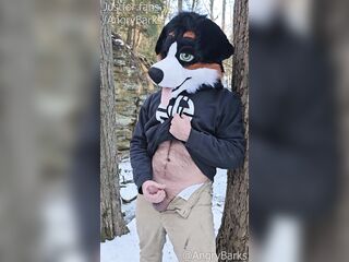 Furry @AngryBarks jerking off in the woods. Leaks cum then shoots hard ????
