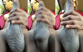 Public servicing myself caught in daylight big cock
