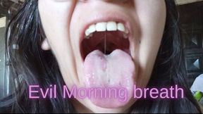 My morning breath