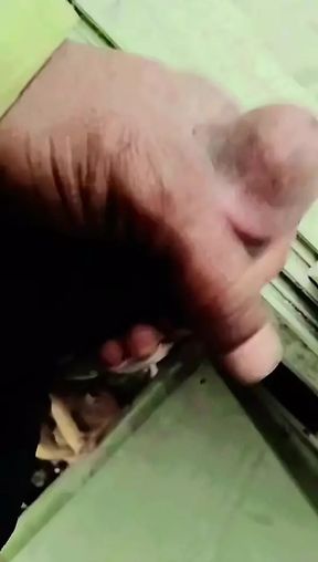 Bengali Sex Videos 🍆🍆🍆