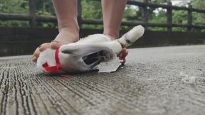 crushing small tiger barefoot indoor