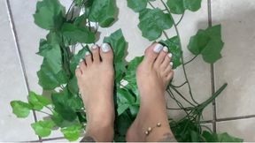 crushing plants