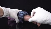 Azuras™ — Dragon Scale Stroker Fantasy