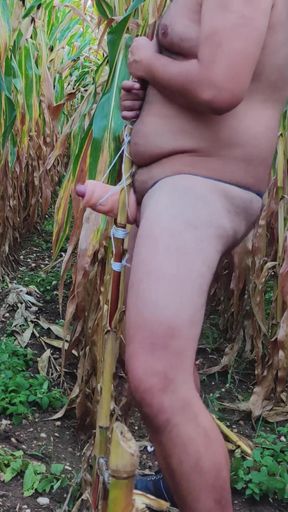 Powerful moment from "Me First Time Fucking Pocket Pussy Outside in Corn"