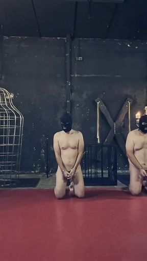 Dominatrix Mistress April - Three Slaves with One Whip!