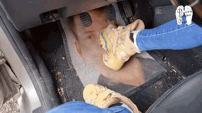 Buffalo Classic walk