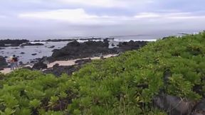 Tropical - Madagascar