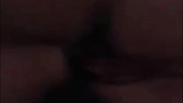 Gtoardientee069 - update #4 - VID-20220823-WA0001 - Aug 11, 2023