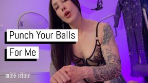 Punch Your Balls For Me | Self Ballbusting CBT Instruction
