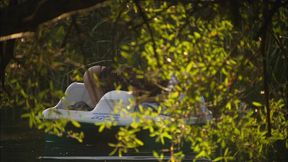 dru berrymore has been so lonely ever since her knight in a white t shirt left her to...