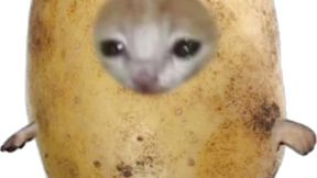 2026🥔🍅