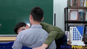 Peterfever Wild Classroom 1 the New Teacher