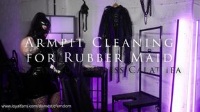 Armpit Cleaning for Rubber Maid