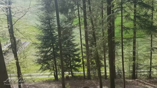 Cum on my ass in the woods natural amateur teen couple - LustTaste 4K