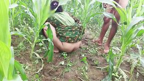 Older Brother's Thick Dick&#x1F32D; Arrives, Outdoor Gang Bang on Bhabhi in Corn Field: Hindi Audio