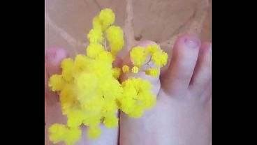Piedini profumati di mimosa