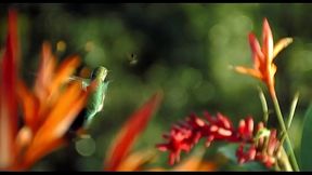 acharam que iriam comer buceta, mas foram gozados