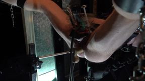 Venus 2000 milking in the leather sling with anal fucking machine play in The Dungeon of Canadian Dominatrix Lady Diva Cane.