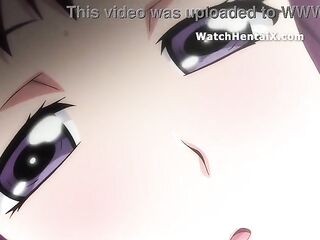 Manga Hnetai, Animated manga porn