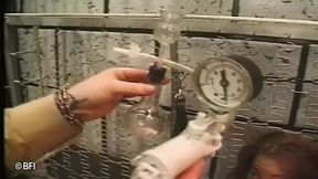 Slutty chicks get rough and merciless beaver torment
