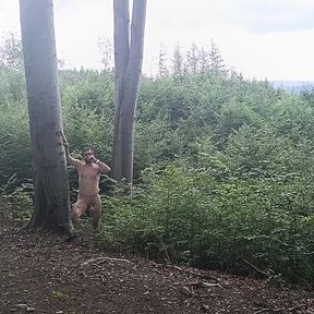 Between the Beeches: Rough Exhibition on Bare Wood