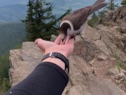 nature bj with nerdy faery