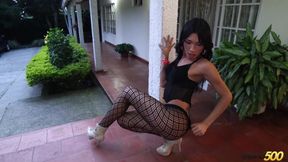 Alexa Loves to Stroke