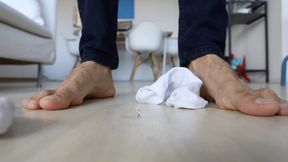 Thomas - Bugs To Him Infested (SFX Shrunken)