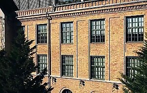 Threesome and DP at the Russian Institute