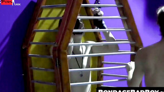 Caged Captive The Tortured Twinks Ultimate Surrender