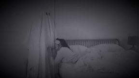 Haunted Whores