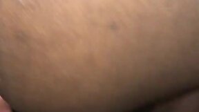 Bbw tran squirts on bbc