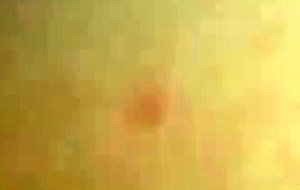 girl creampie bbc