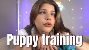 Puppy training: Good boy