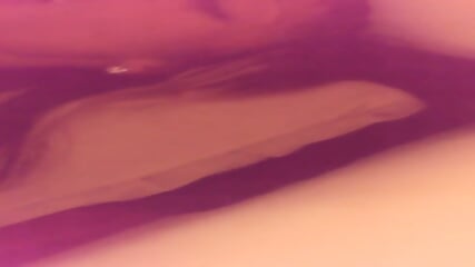 Rodney Putting in That Work on Petite Ebony