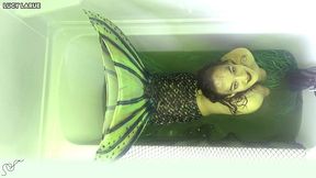 swamp mermaid tank