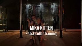 Shock Collar Training