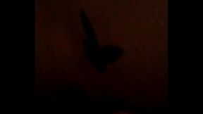 Chupandole las bolas a Dallys