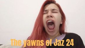 The yawns of Jaz 24